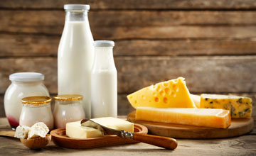 Dairy Ingredients – Stabilizers, emulsifiers and functional systems for dairy and nut milk products